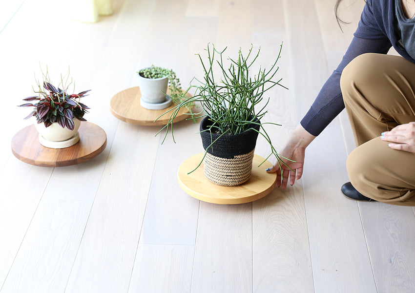 PLANTER BASE 附輪植栽架 單圓